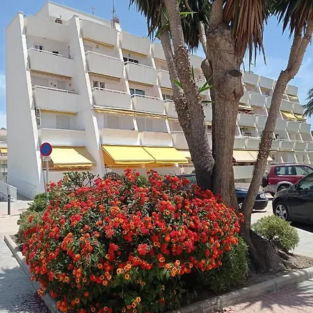 Apartmán Estudio *